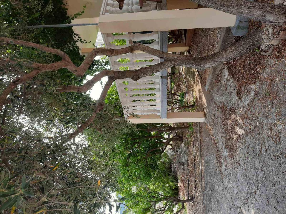Apartmani Bezek Ston Exterior foto